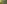 Auf dem Bild sind Stiefmütterchen zu sehen. 